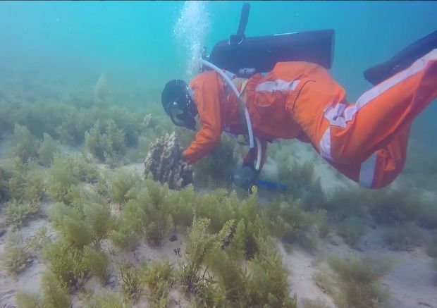 首页- 人生就是博中国官网入口