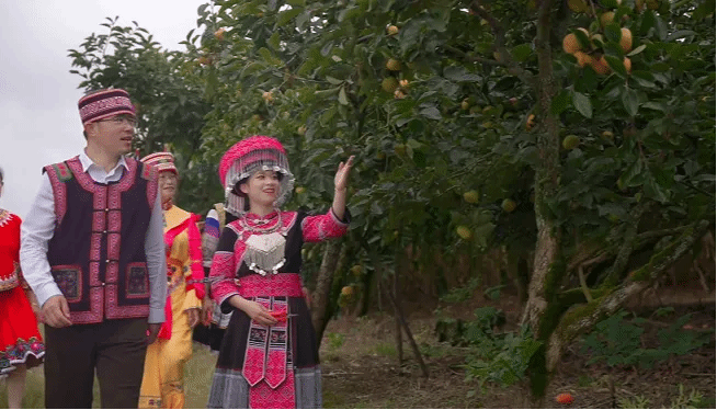 首页- 人生就是博中国官网入口