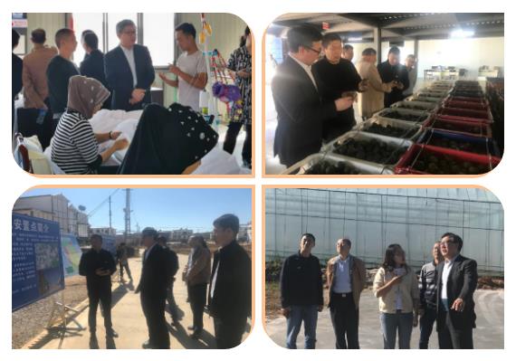 首页- 人生就是博中国官网入口