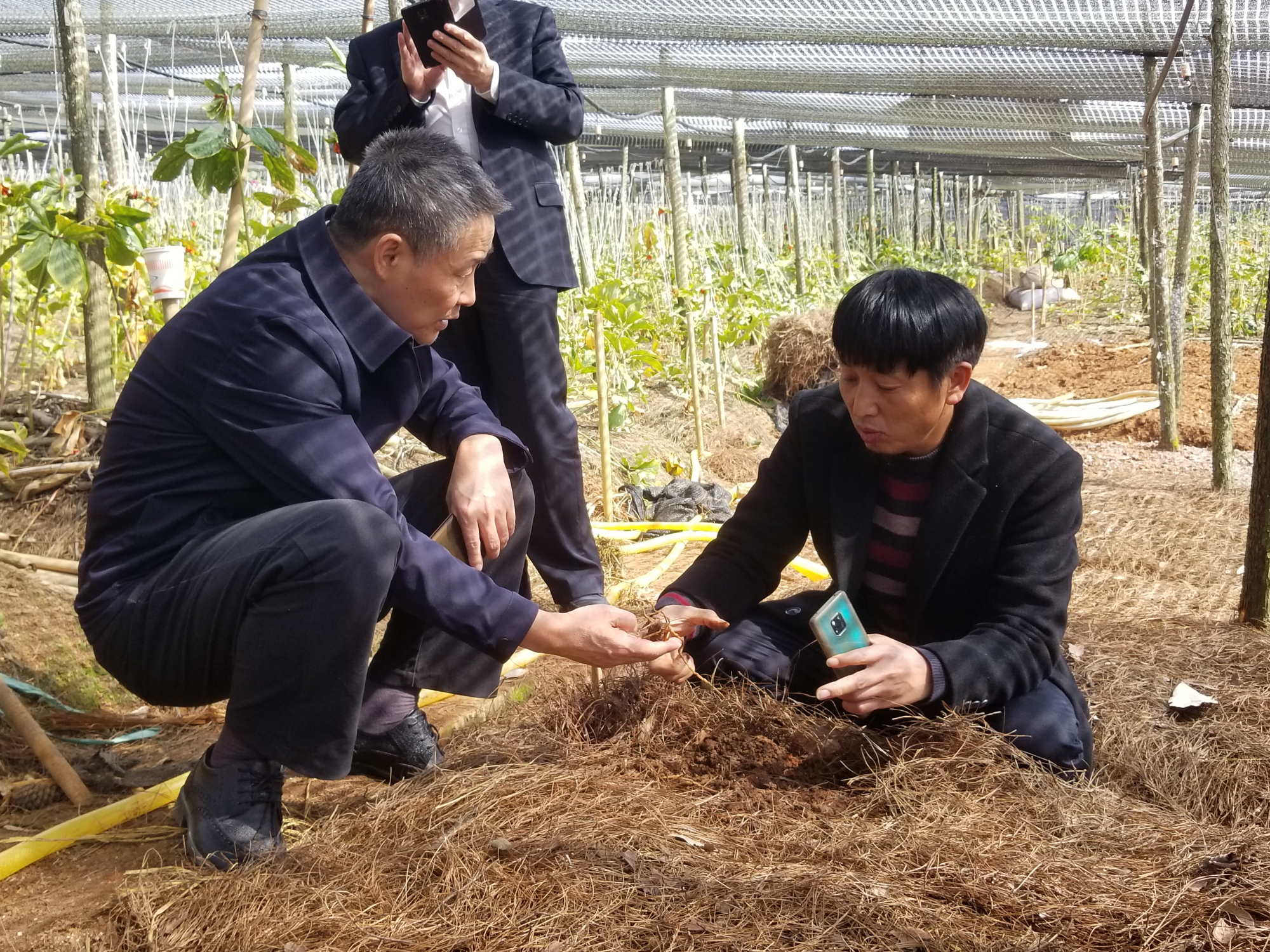 首页- 人生就是博中国官网入口